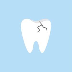 dentist in trinity, florida